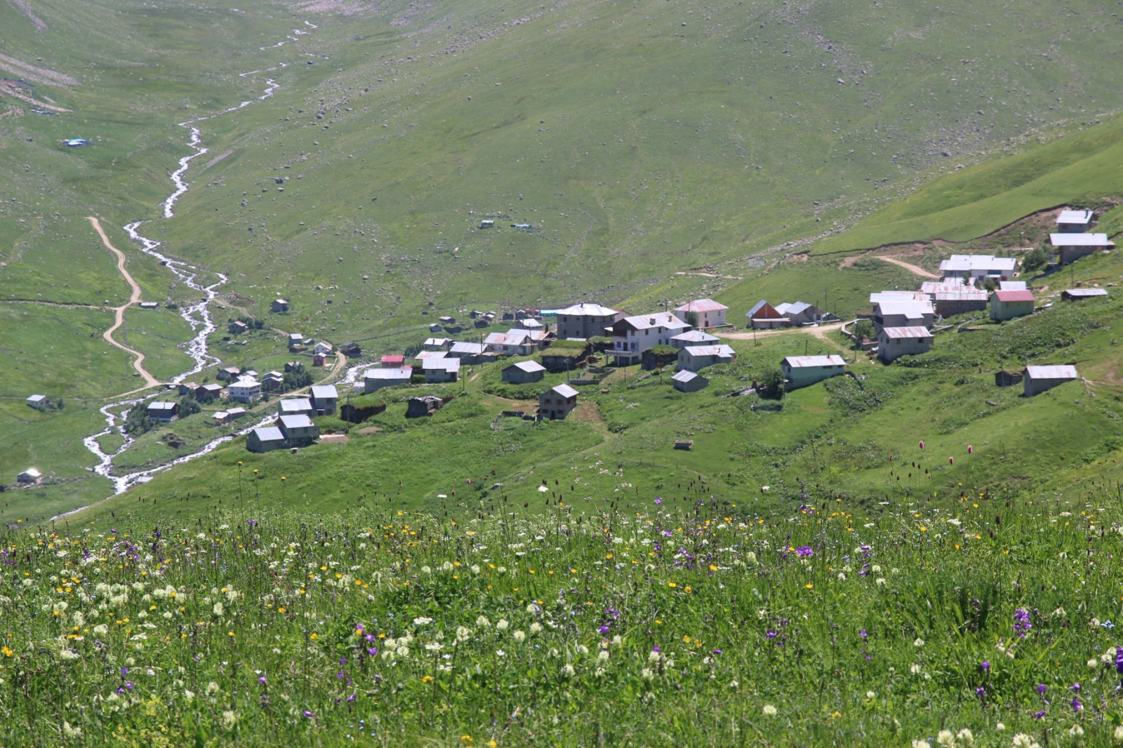 Pokut Huser Double Tur
