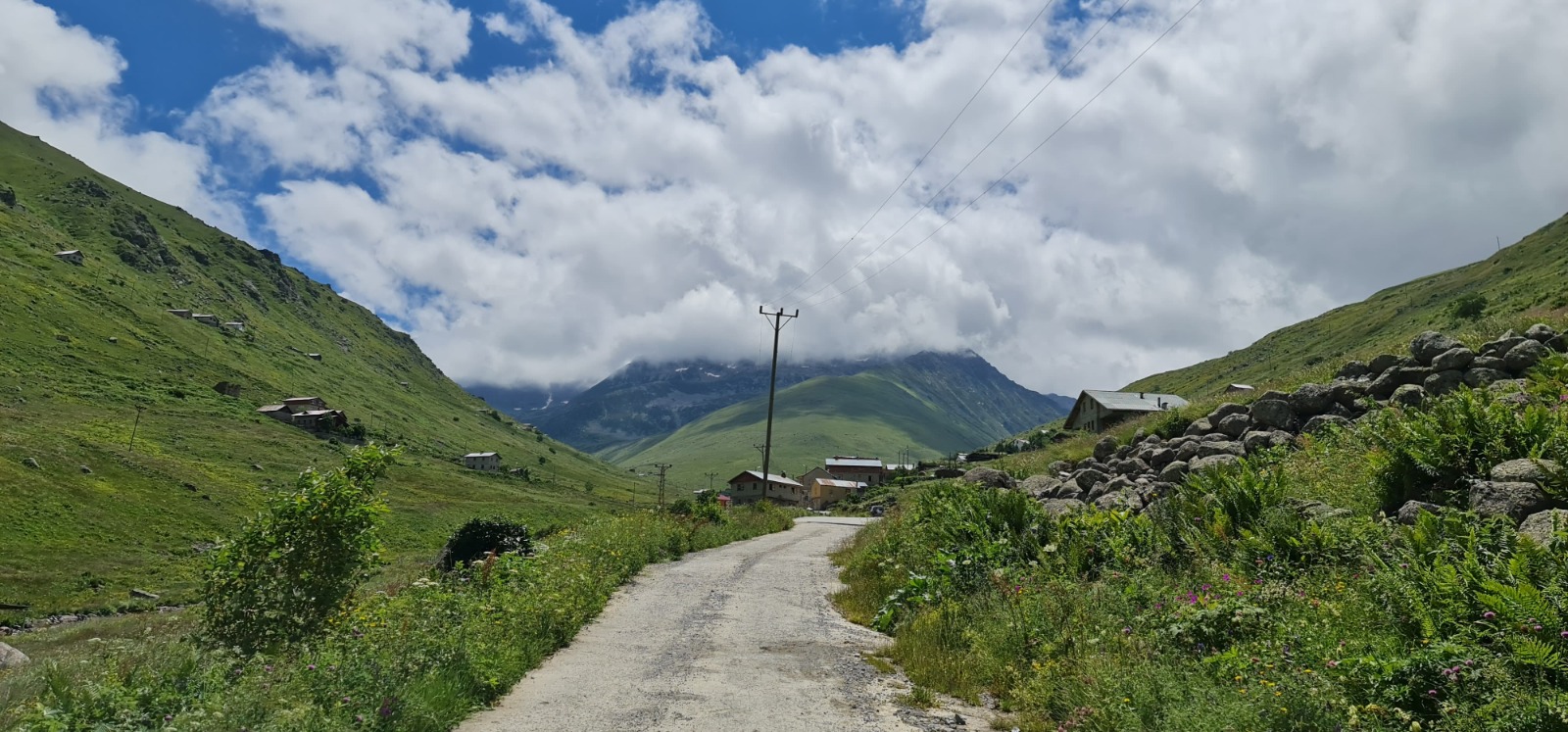 Vadi Turu ( Yayla Sevdası )