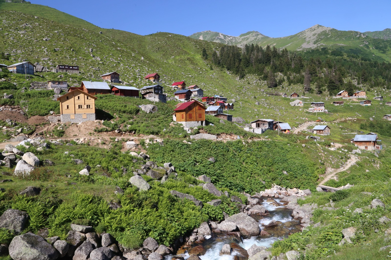Vadi Turu ( Yayla Sevdası )