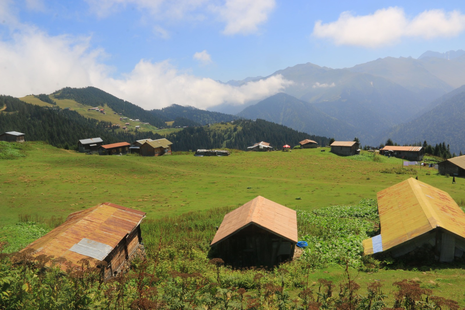 Vadi Turu ( Yayla Sevdası )