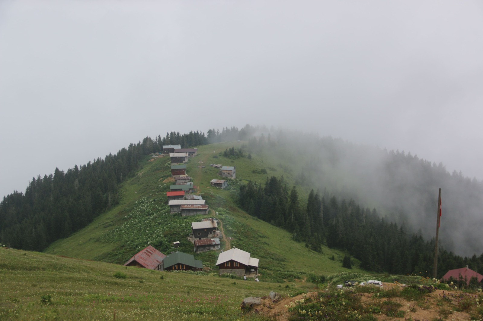 Vadi Turu ( Yayla Sevdası )