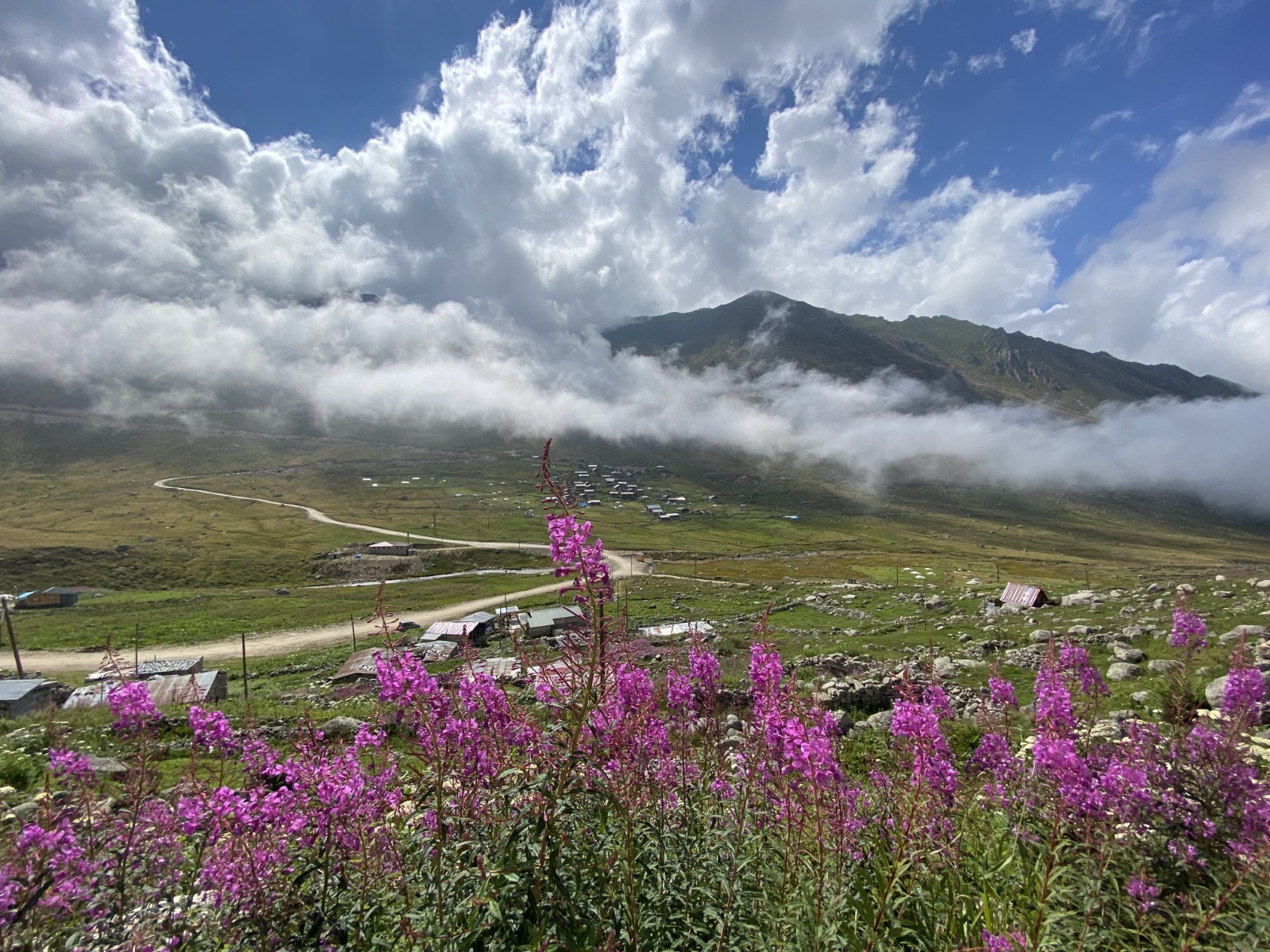 Vadi Turu ( Yayla Sevdası )