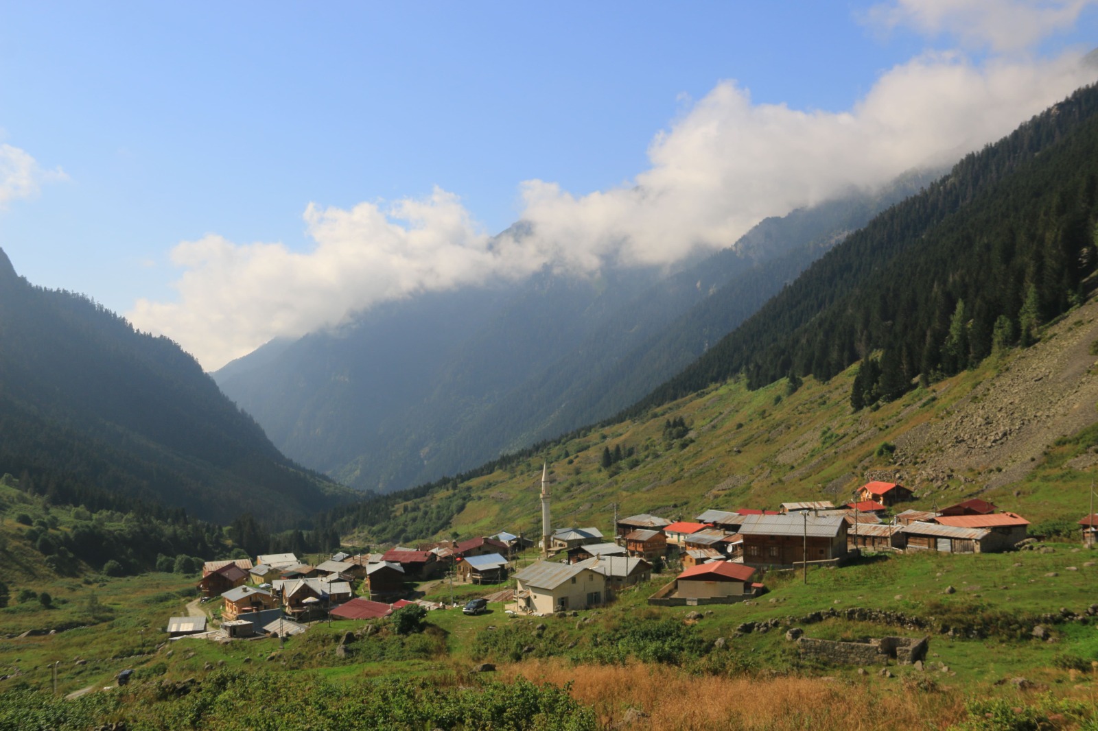 Vadi Turu ( Yayla Sevdası )