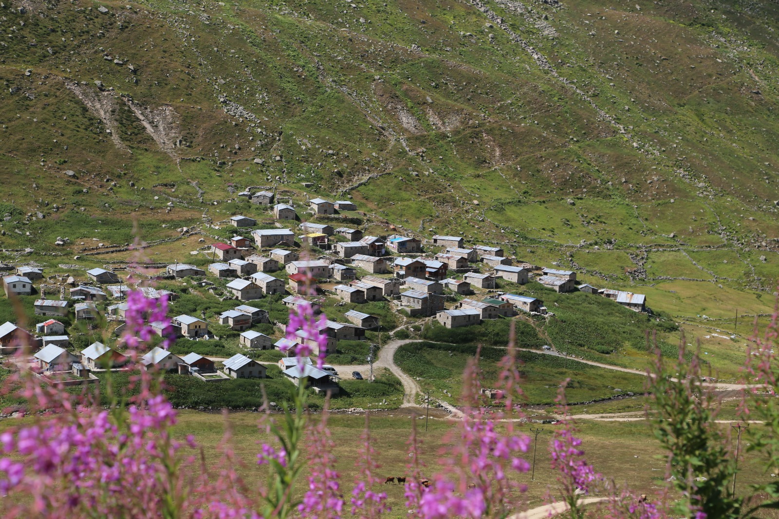 Vadi Turu ( Yayla Sevdası )